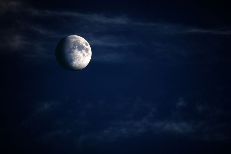 Moonlit Magic